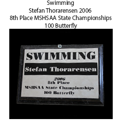 2006 